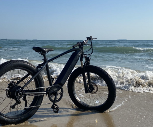 VELOWAVE RANGER FMTB3 Fat Tire Electric Bike