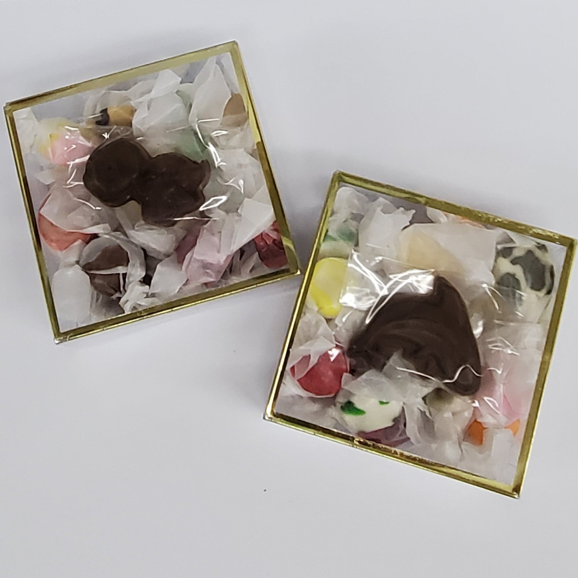 Salt Water Taffy with Chocolate Sea Life Gift Box