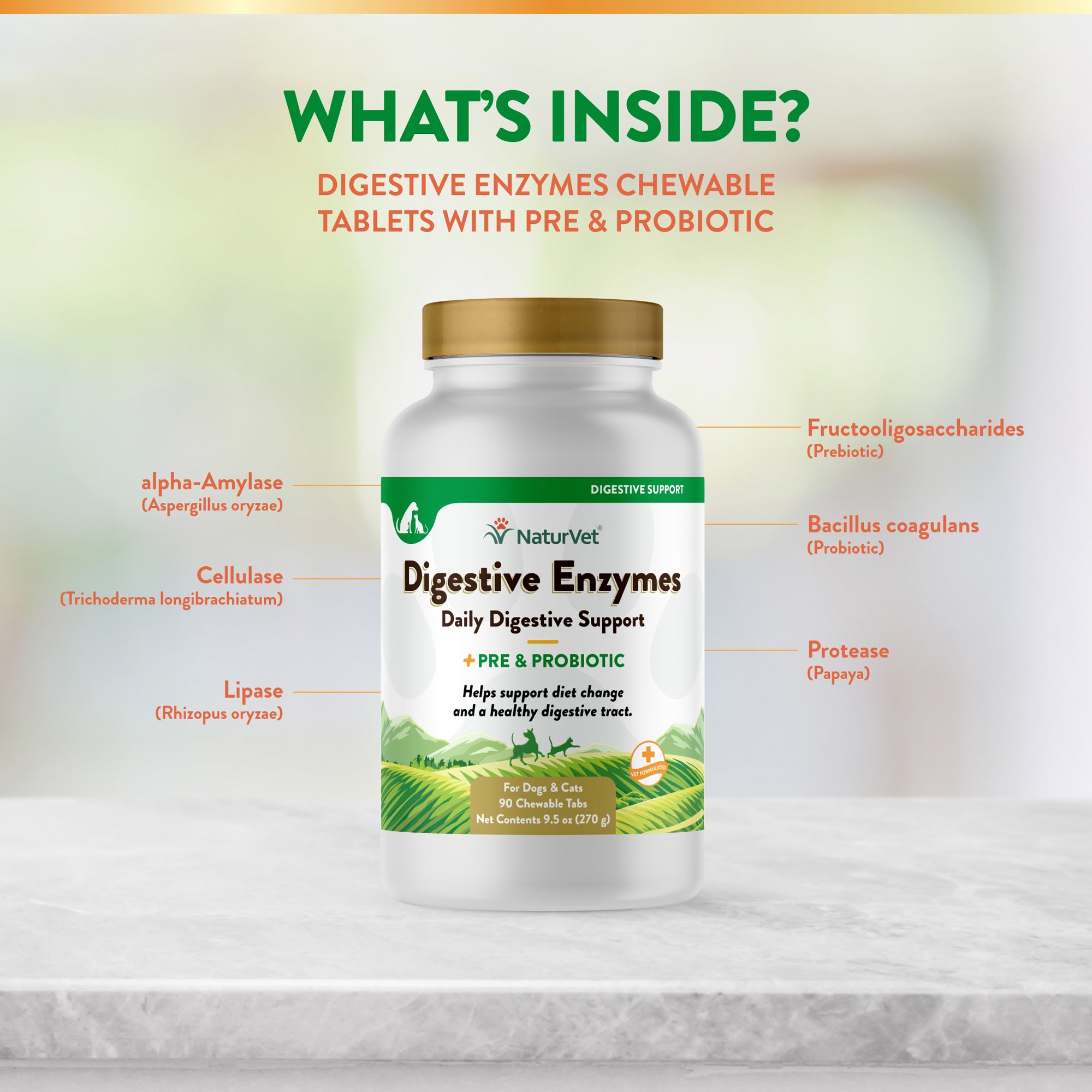 Digestive Enzymes Chewable Tablets with Prebiotics & Probiotics