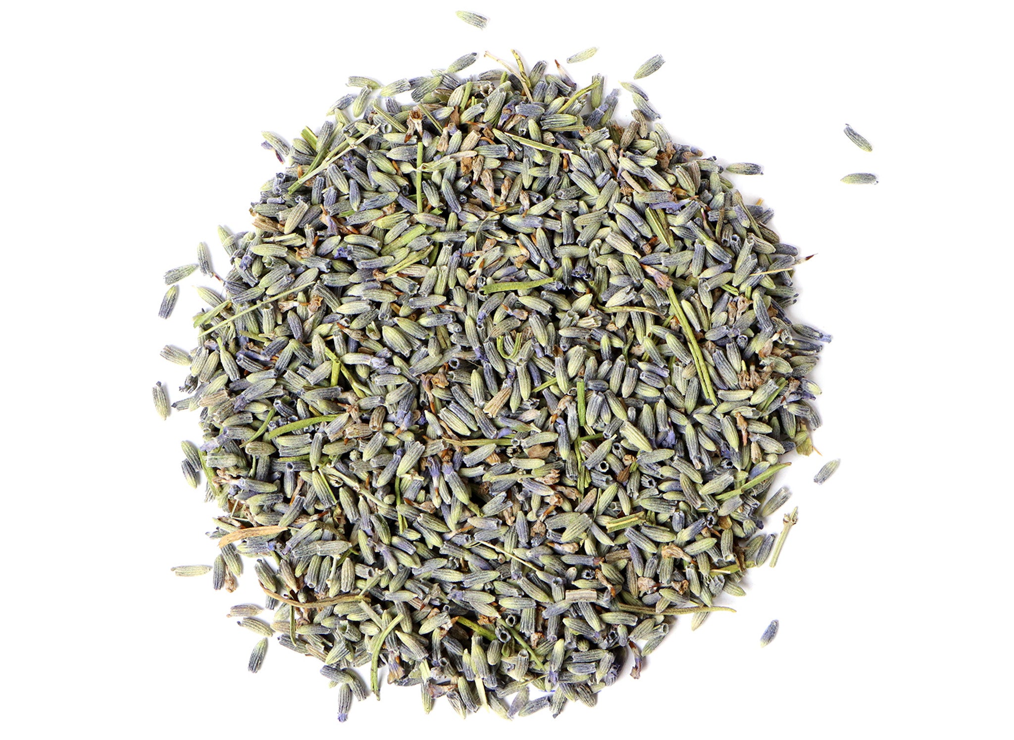 English Lavender (Angustifolia)