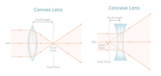 What is the function of a convex lens?