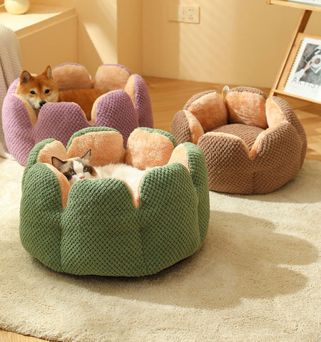 comfy cat bed