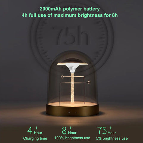 Dazuma Tbale Lamps Night Lights