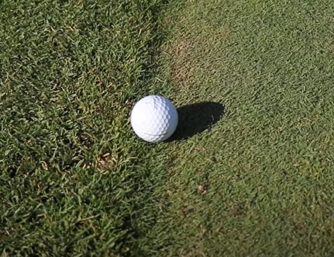 mark your ball on the green