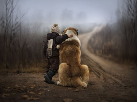 Children and animals