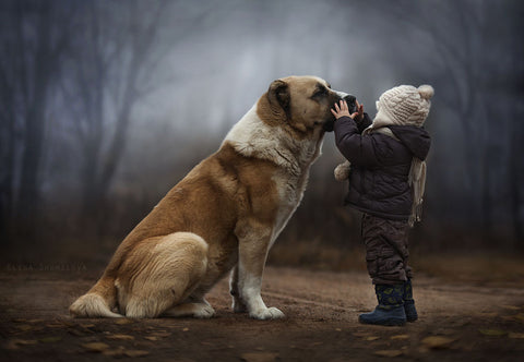 Children and animals