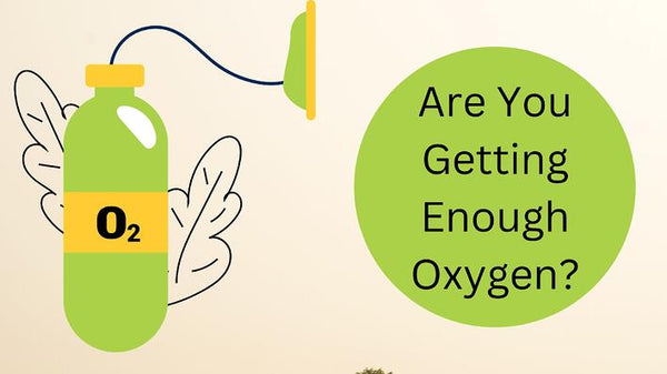 www.dedakjoxygenconcentrators.com-Are You Getting Enough Oxygen