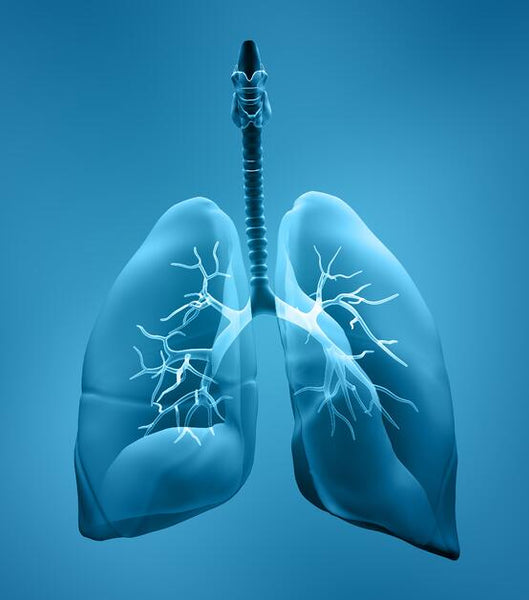 www.dedakjoxygenconcentrators.com-copd lung