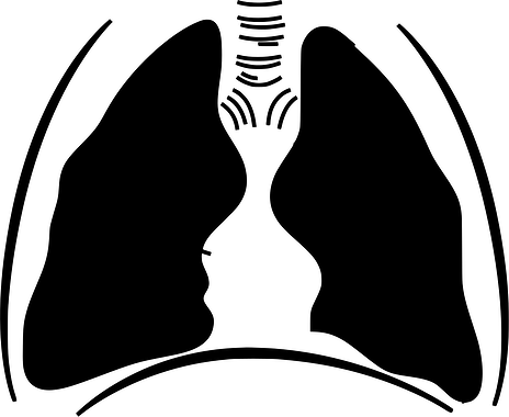www.dedakjoxygenconcentrators.com