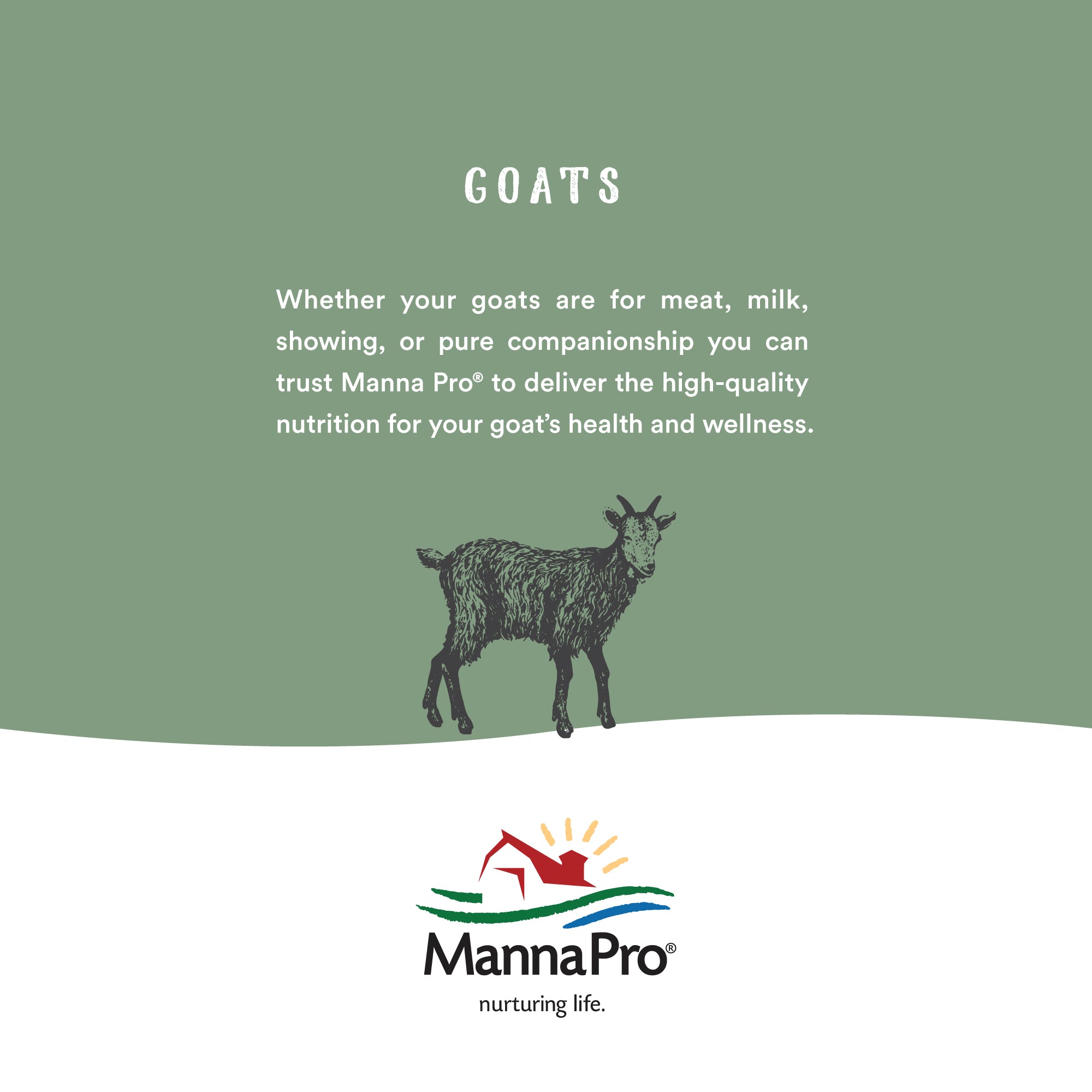 ??Manna Pro Goat Treats, Crafted with Oatmeal, For All Ages of Goats, Licorice