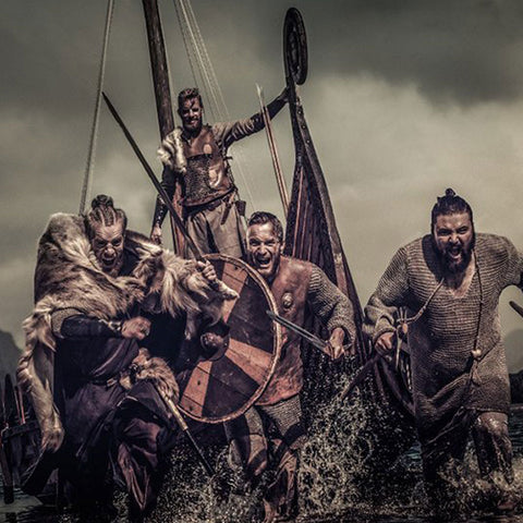 How was Viking society organized?