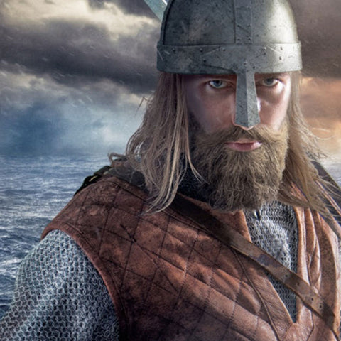How was Viking society organized?
