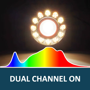 All Channels ON - Full Power Broad Full Spectrum