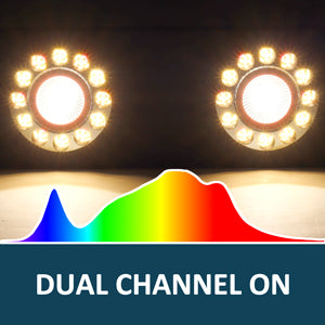 Bloom Channel Samsung LM301B 3000K and 660nm Enhancer