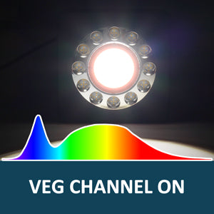 Veg Channel: CREE COB 5000K Full Spectrum with Peak in Blue