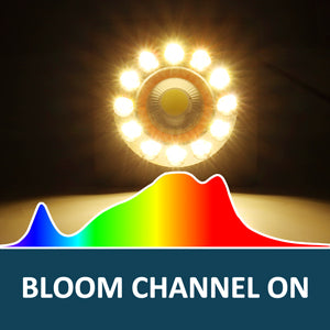 Bloom Channel Samsung LM301B 3000K and 660nm Enhancer