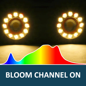 Bloom Channel  Samsung LM301B 3000K and 660nm Enhancer