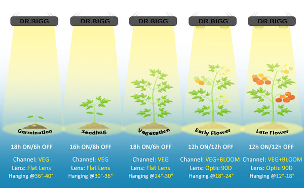 DR.BIGG 2000 LED Grow Light Mounting Height and Lighting Time Suggestions