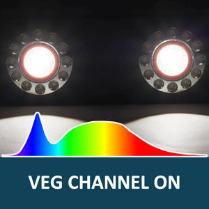Veg Channel: CREE COB 5000K Full Spectrum