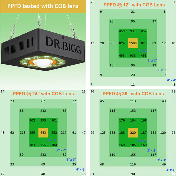 PAR (PPFD) Map with COB Lens