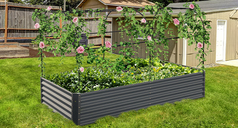raised garden bed