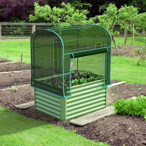 raised garden bed