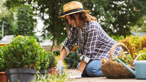 garden bed