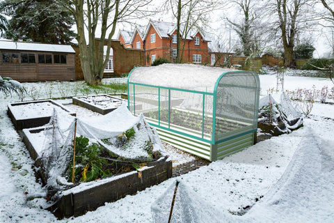 raised garden bed