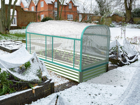 raised garden bed