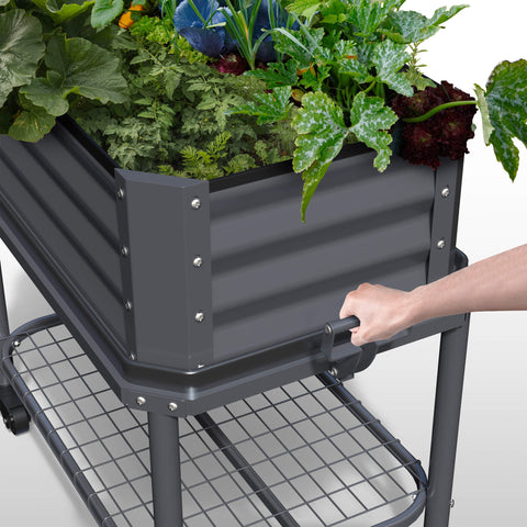 garden bed