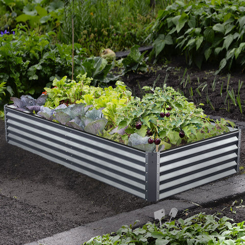 raised garden bed