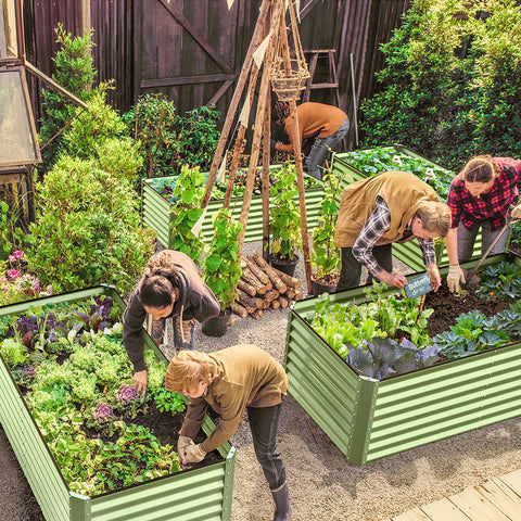  raised garden bed