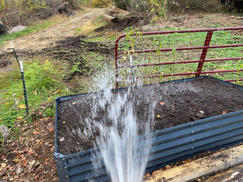 raised garden bed