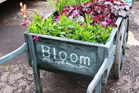garden bed