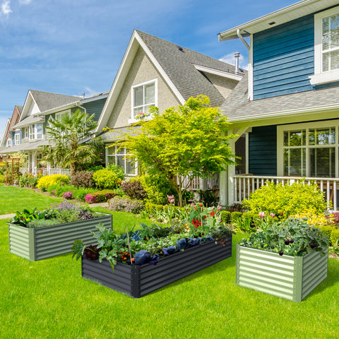 raised garden bed