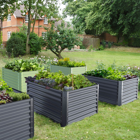 raised garden bed