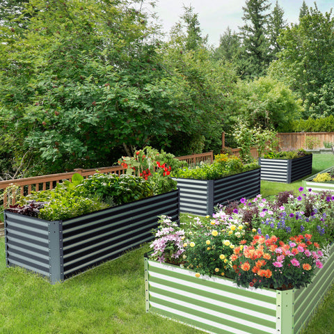 raised garden bed