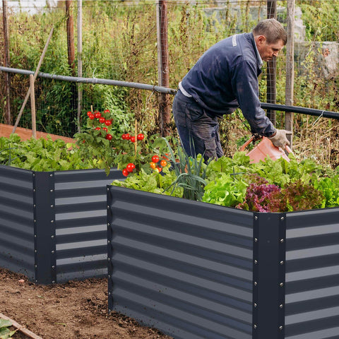 raised garden bed