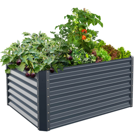 raised garden bed