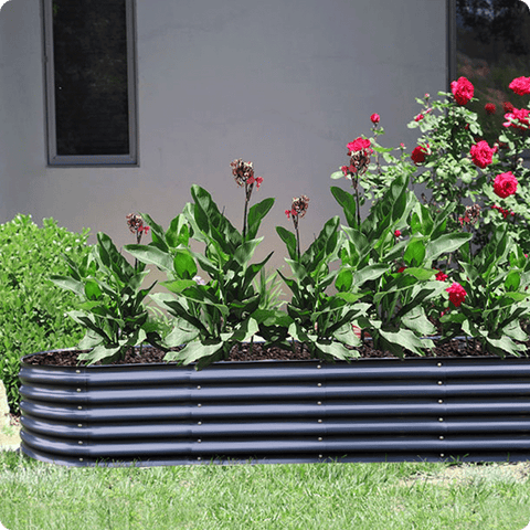 raised garden beds