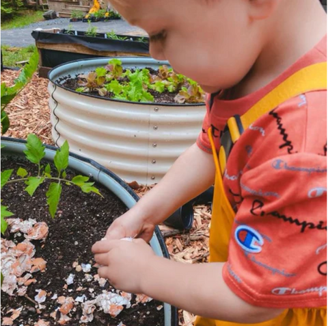 raised garden beds