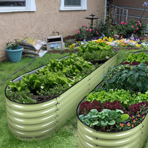 raised garden beds