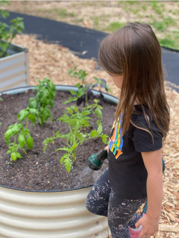 raised garden beds