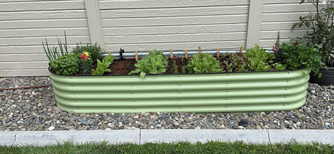 raised garden beds