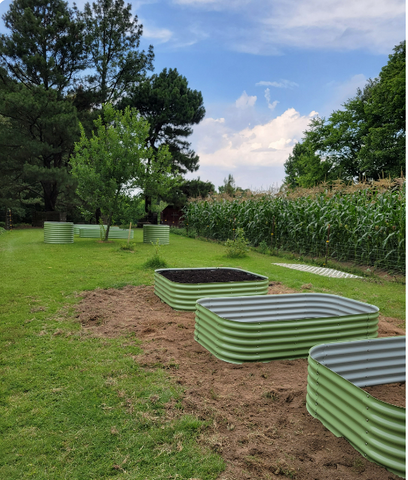 raised garden beds