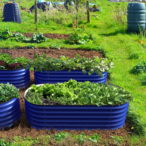 raised garden bed