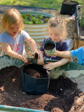 raised garden bed