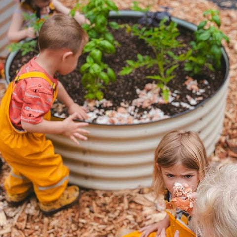 raised garden beds