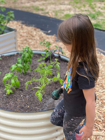 raised garden beds