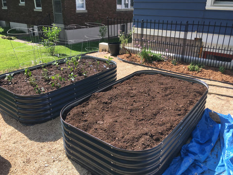 raised garden bed